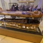 inside-view-to-the-exhibits-and-interior-of-the-cairo-egyptian-museum