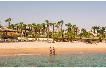 14 Days Cairo Alexandria Hurghada Nile Cruise & Abu Simbel