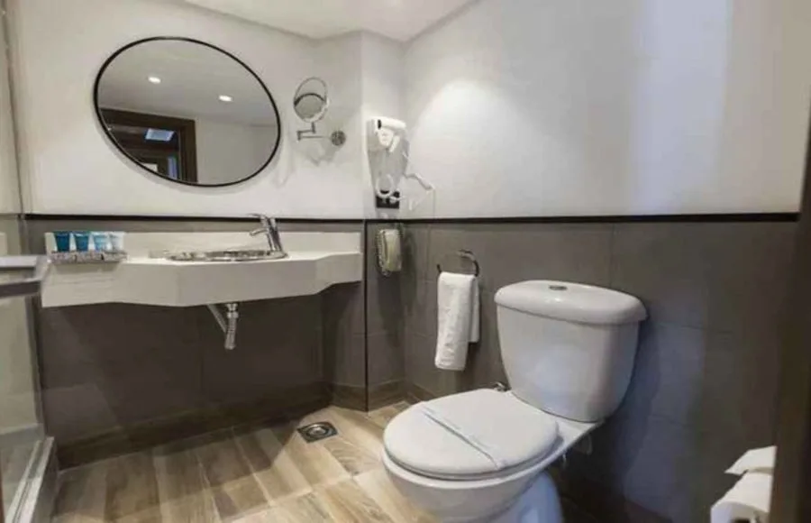 Bathroom inside a cabin on the MS Semiramis II