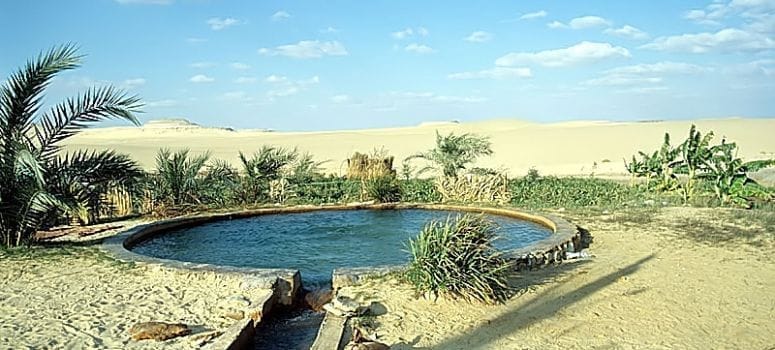 Day 6: Spiritual Wonders and Desert Serenity