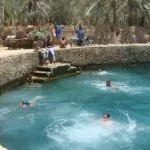 A lively View of the Siwa Cleopatra Springs in Egypt, showing people swimming and relaxing at the edges of the round stone-walled pool surrounded by palm trees.