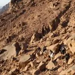 A-group-of-people-climbing-mount-Sinai