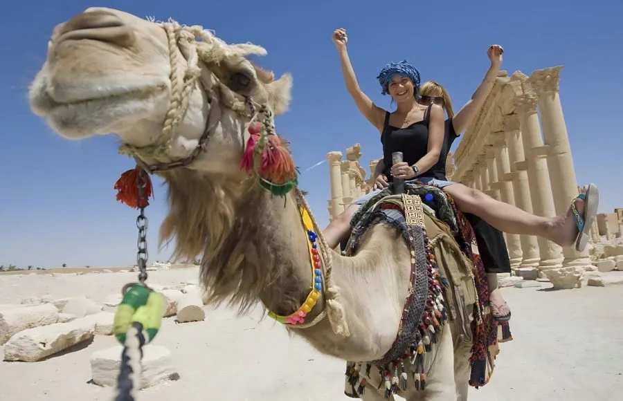Amazing-camel-ride-Tour-in-luxor