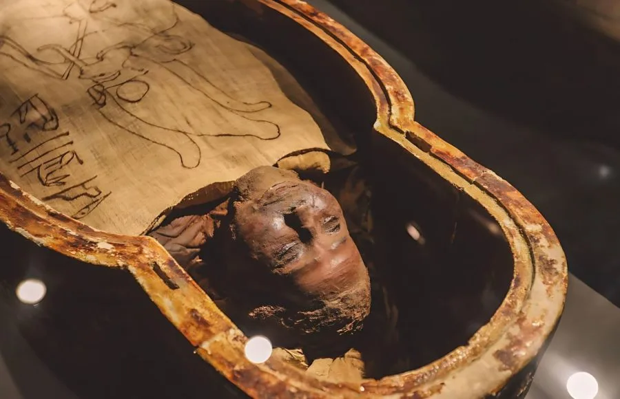 Ancient-Egyptian-Exhibits-of-the-archaeological-Mummification-Museum