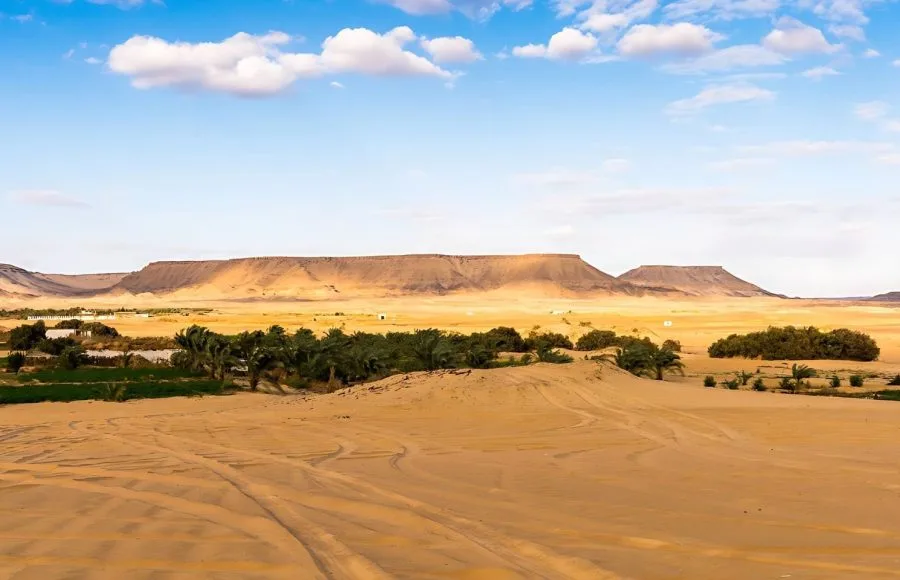 Panoramic view of the green area of Baharyia Oasis surrounded by the Egyptian desert and plateau.