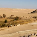 A tranquil desert oasis view of Bir Wahed in the Great Sand Sea at Siwa Oasis, showing a small area of green palm trees and reeds surrounded by vast, rolling golden sand dunes.