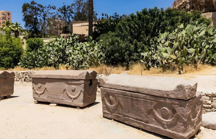 Two ancient stone sarcophagi are displayed outdoors at the Burial Catacombs Of Kom El Shoqafa, Alexandria, surrounded by desert flora, including prickly pear cacti, under a bright, sunny sky.