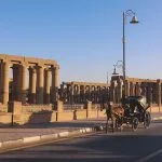 Egyptian-Horse-Carriage-In-Luxor
