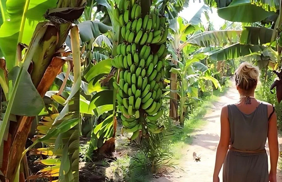 Girl-walking-in-Banana-Island-Luxor