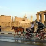 Horse-Carriage-In-Luxor