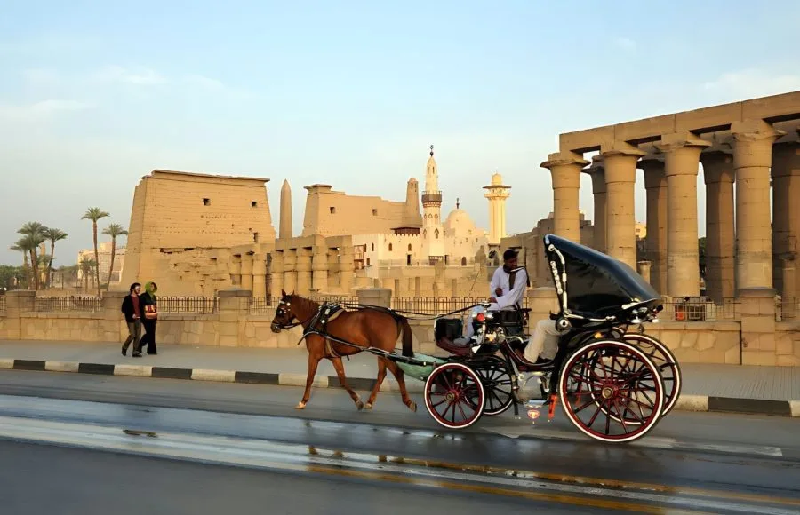 Horse-Carriage-In-Luxor