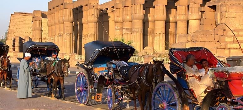 Luxor Horse Carriage City Trip