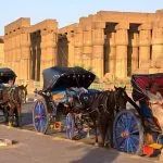Horse-Carriage-Out-Side-Luxor-Temple