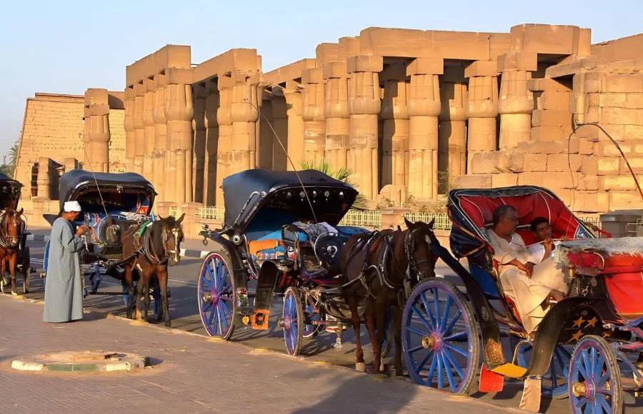 Horse-Carriage-Out-Side-Luxor-Temple