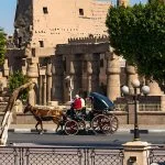Horse-Carriage-Passing-From-Luxor-Temple