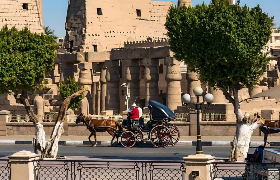 Horse-Carriage-Passing-From-Luxor-Temple