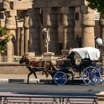 Horse-Carriage-Passing-In-Front-Of-Luxor-Temple