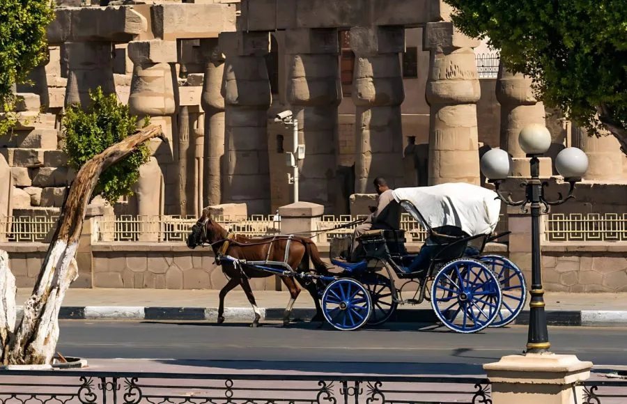 Horse-Carriage-Passing-In-Front-Of-Luxor-Temple