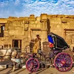 Horse-Carriage-Waiting-For-Tourist-In-Luxor
