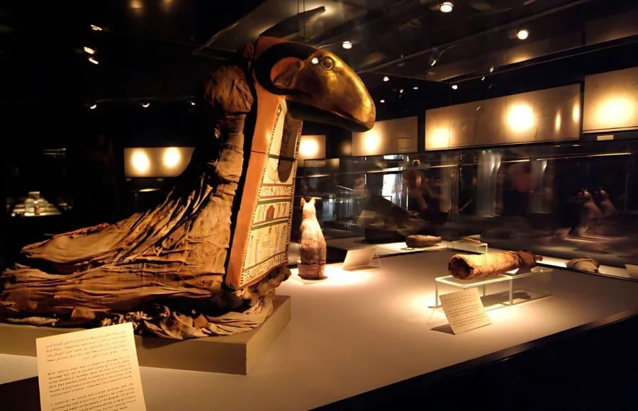 Mummification-Museum-Luxor-Egypt