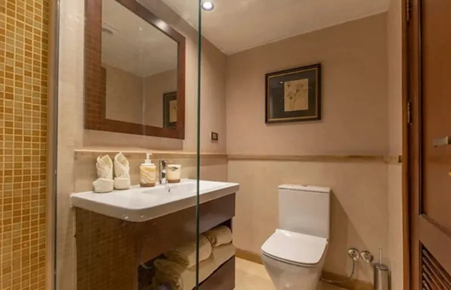 Nebyt-Dahabiya-Nile-Cruise-Cabin-Bath-Room