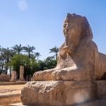 The beautiful alabaster Sphinx of Memphis, an ancient Egyptian statue, sitting among palm trees under a bright blue sky.