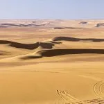 Vast golden sand dunes and tire tracks dominating the landscape at Wadi El Hitan Paleontological Site in Egypt.