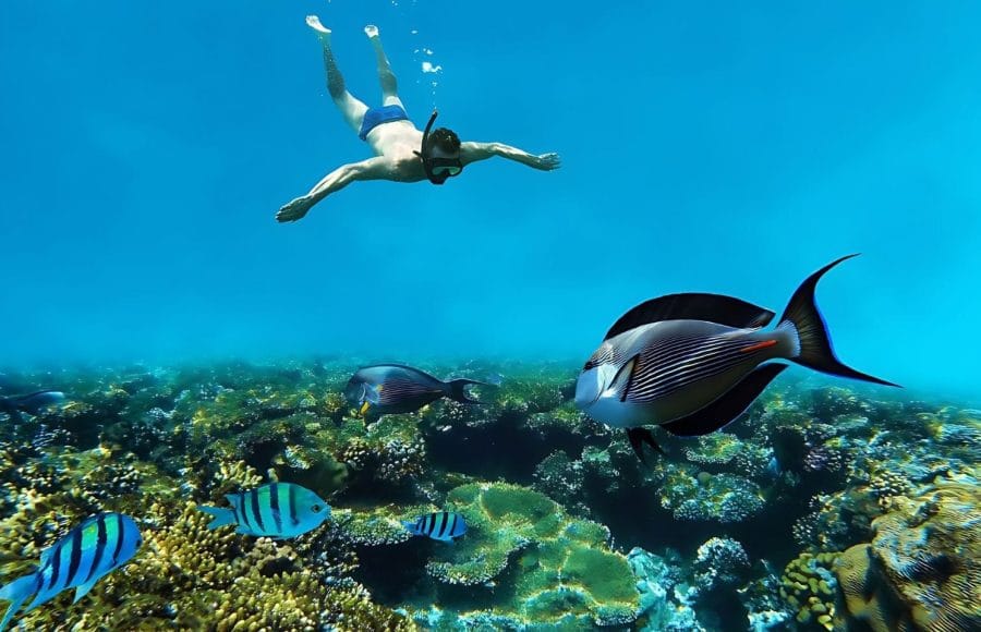 Snorkeling-underwater-in-coral-reef