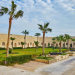 The well-maintained courtyard known as The Small Palm Garden Of Qaitbay Citadel, featuring green grass, towering palm trees, and antique cannons positioned along the historic stone walls.