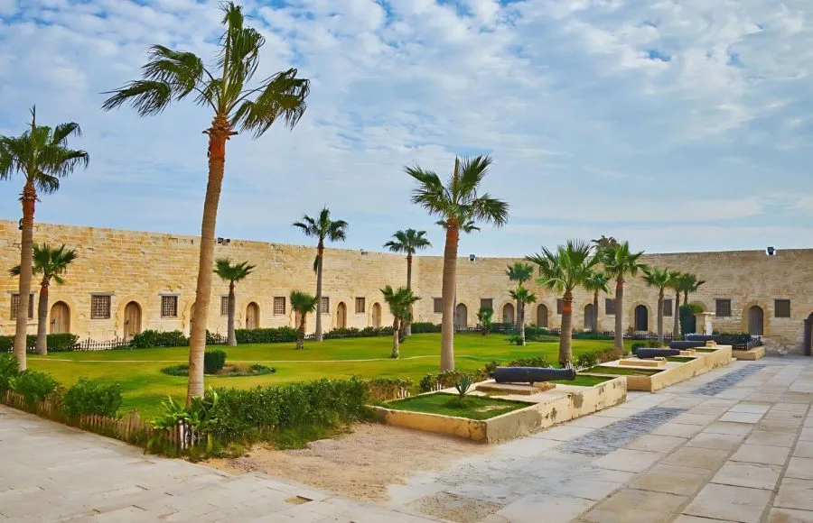 The well-maintained courtyard known as The Small Palm Garden Of Qaitbay Citadel, featuring green grass, towering palm trees, and antique cannons positioned along the historic stone walls.