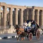 Tourist-In-Horse-Carriage-In-Luxor