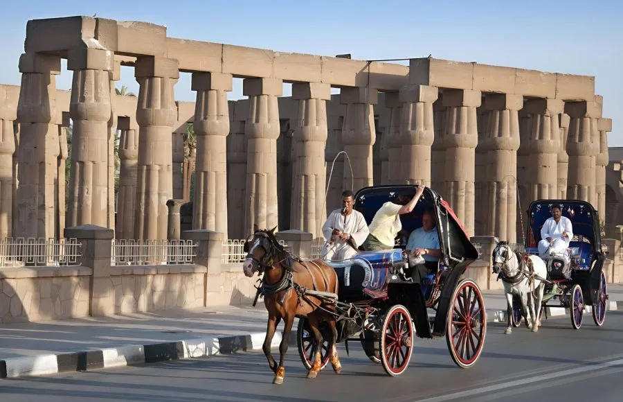 Tourist-In-Horse-Carriage-In-Luxor