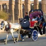 Tourist-Looking-At-Luxor-Temple-From-Horse-Carriage
