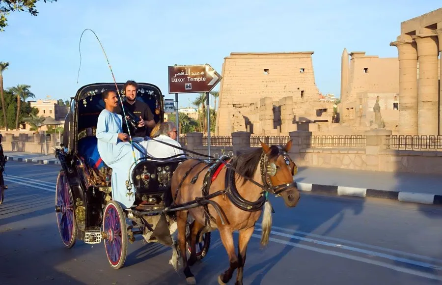 Tourist-Riding-In-Horse-Carriage-Just-Outside-The-Temple-Of-Luxor-In-Egypt