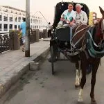 Tourists-Taking-a-photo-in-Aswan-on-Horse-Carriage