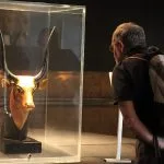 Visitor-at-Luxor-Museum-admiring-the-Head-of-the-Goddess-Hathor