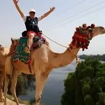 ride-the-camel-for-one-day-in-luxor