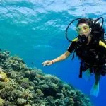 A-female-scuba-diver-passes-near-a-coral-reef-in-the-Red-sea-Hurghada