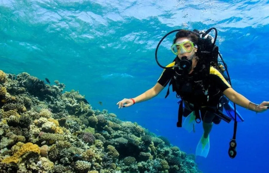 A-female-scuba-diver-passes-near-a-coral-reef-in-the-Red-sea-Hurghada
