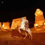 Alf-Leila-Wa-Leila-Horse-Dance