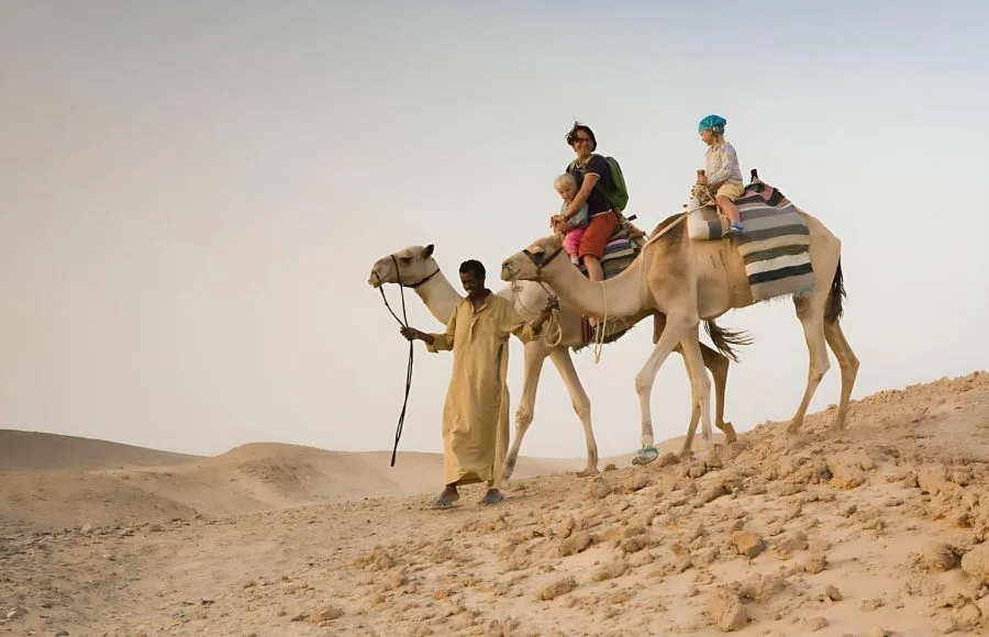 Bedouin-Leading-Two-Camels-Marsa-Alam-Desert