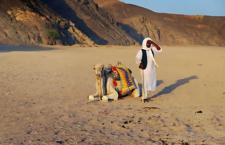 Bedouin-With-Camel-In-The-Desert-Marsa-Alam-Egypt
