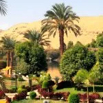 Botanical-Garden-On-Kitchener’s-Island-In-River-Nile