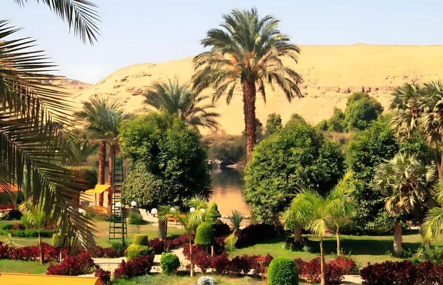 Botanical-Garden-On-Kitchener’s-Island-In-River-Nile