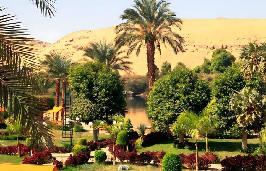 Botanical-garden-on-Kitchener-Island-in-Aswan