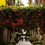 Botanical-gardens-Aswan-View