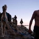Camels-Carry-Tourists-Home-After-Snorkeling-In-Ras-Abu-Gallum-Dahab