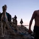 Camels-Carry-Tourists-Home-After-Snorkeling-In-Ras-Abu-Gallum-Dahab