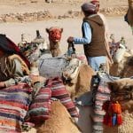 Camels-With-Bedouin-People-At-Their-Village-Near-To-Hurghada-In-Egypt