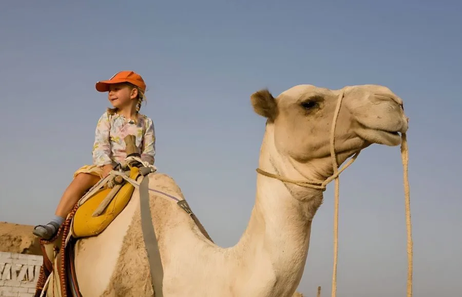 Child-Riding-Camel-In-The-Marsa-Alam-Desert